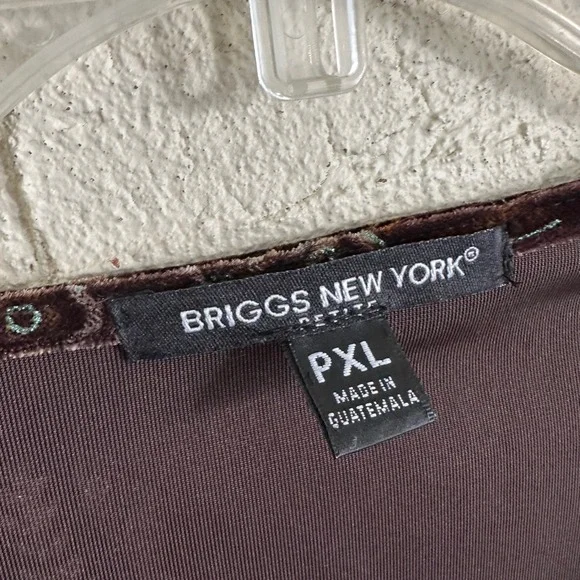 Briggs New York Petite PXL Chocolate Brown Teal Floral Velvet Cowl Neck Top - Picture 4 of 8